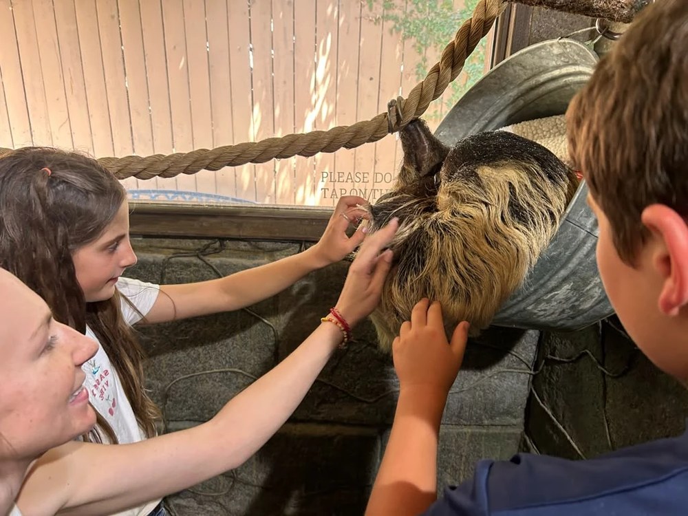 Guests meeting the sloth on the Wildlife and Wine Tour